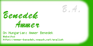 benedek ammer business card